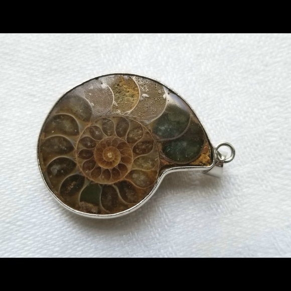 Ammonite fossil shell pendant - Picture 2 of 3